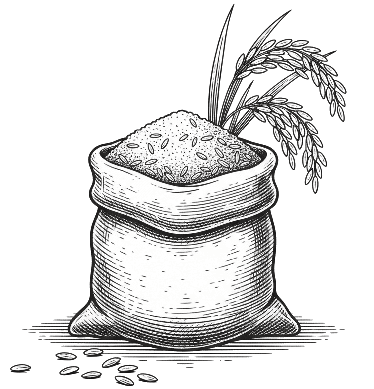 FRAÎCHE EST LA RÈGLE